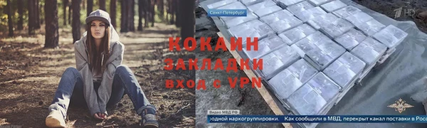 метадон Алексин